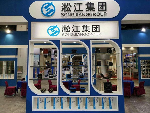 矿浆橡胶软接头 DN250 PN25 耐衬导流筒 2台
